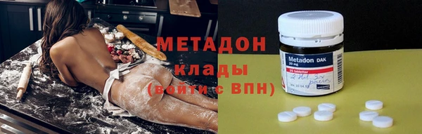 прущие грибы Беломорск