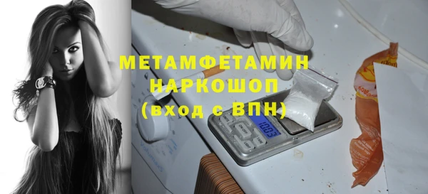 прущие грибы Беломорск