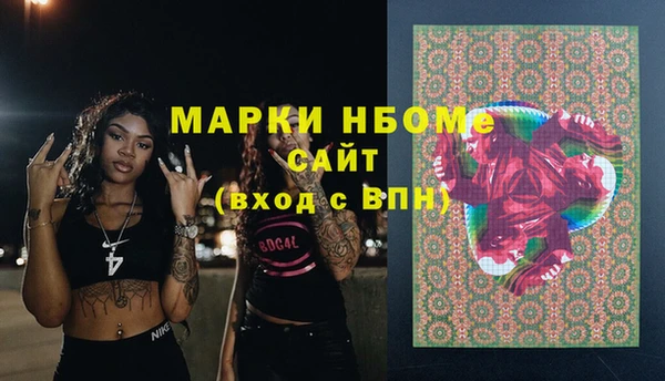 прущие грибы Беломорск