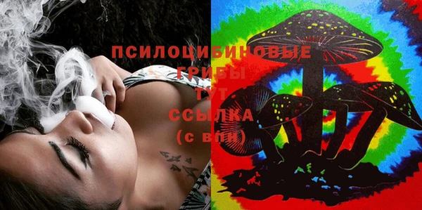прущий лед Белокуриха