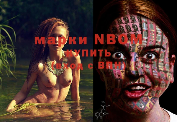 прущие грибы Беломорск