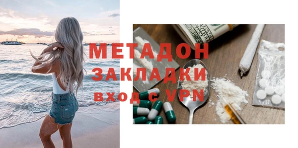прущие грибы Беломорск