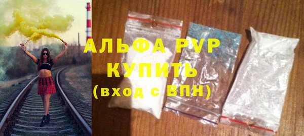прущие грибы Беломорск